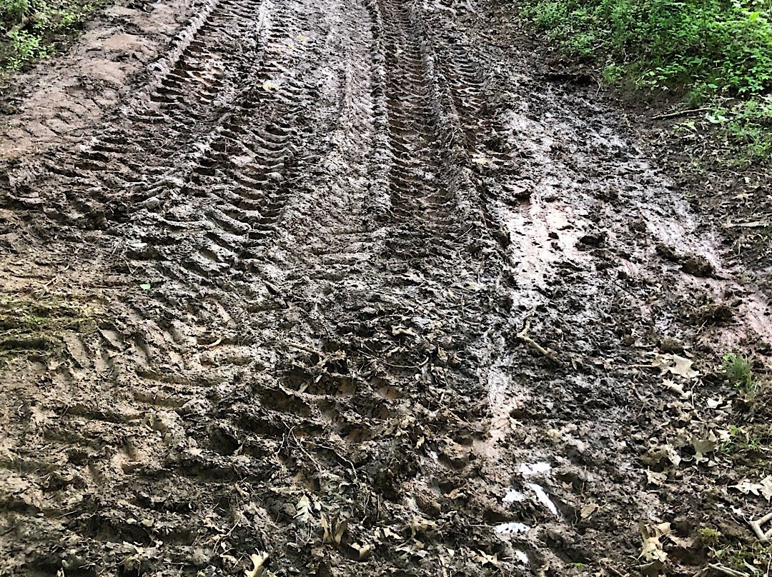 McDonough Wildlife Refuge-维也纳必去景点