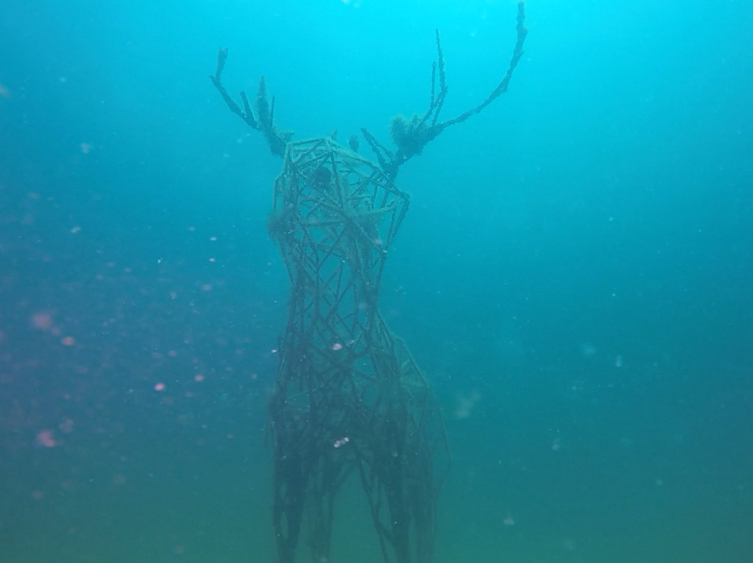 The Underwater Museum of Art景点图片