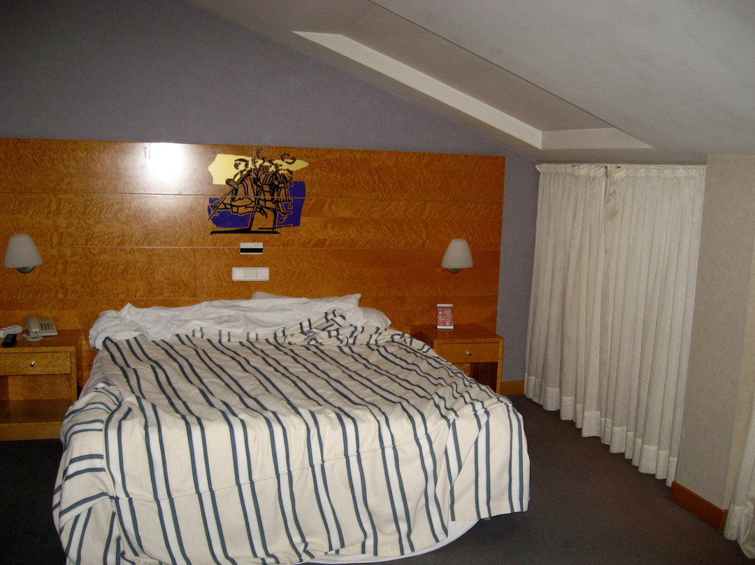 Hotel Ruta Jacobea主图