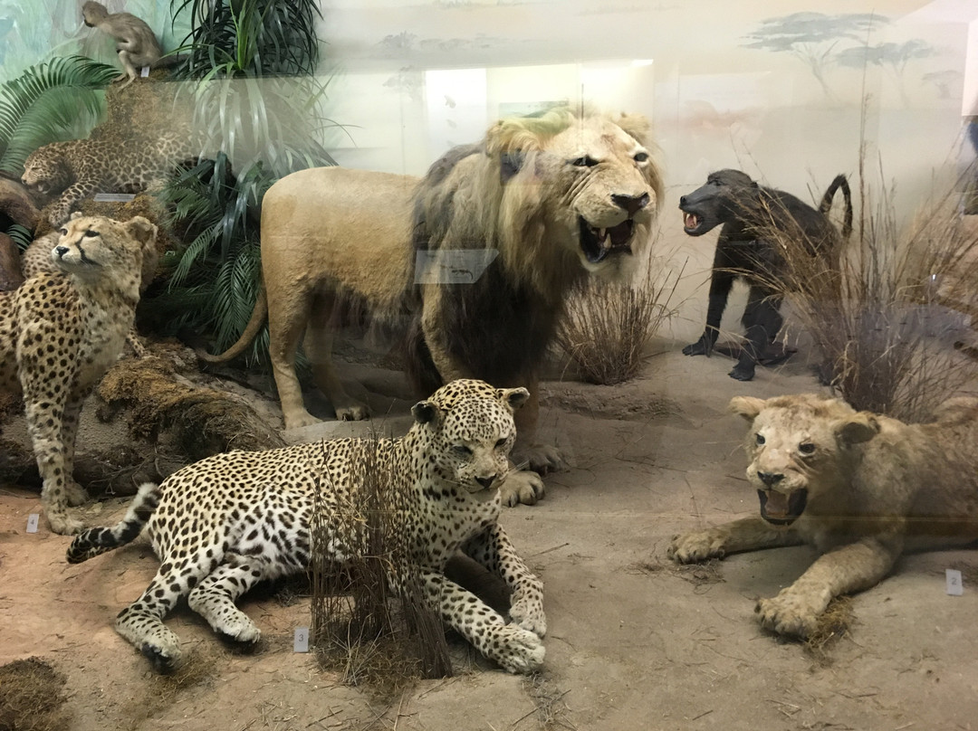 Goulandris Museum of Natural History景点图片