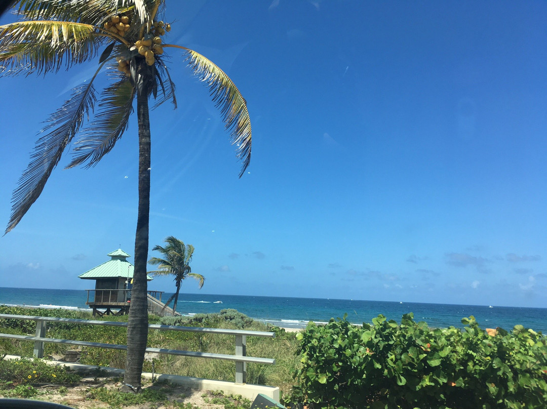 Spanish River Park-博卡拉顿必去景点