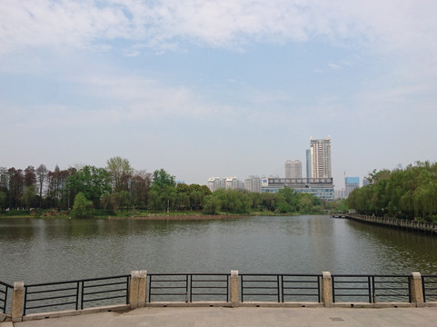 月湖公园-武汉市必去景点