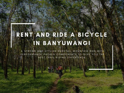 Ijen Cycling Adventure-巴纽旺宣必去景点