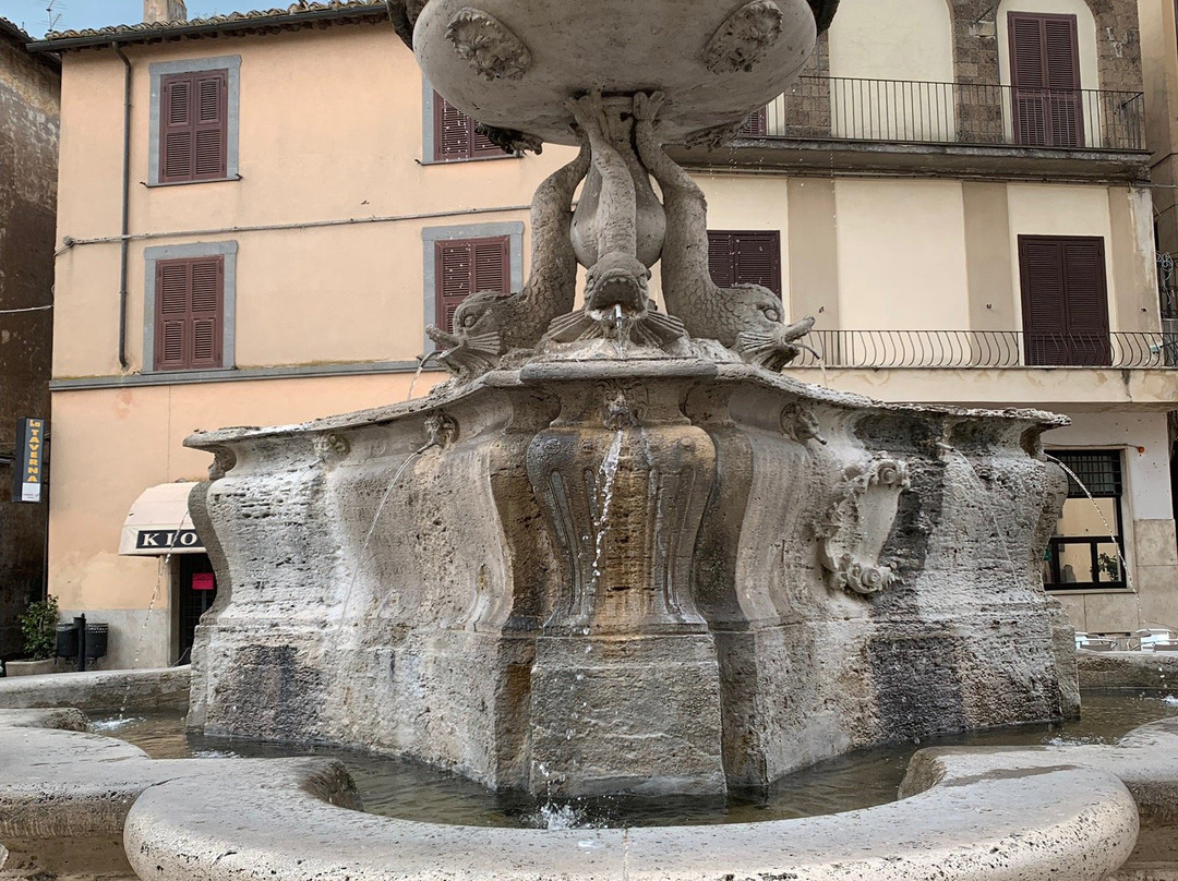 Fontana dei Delfini景点图片