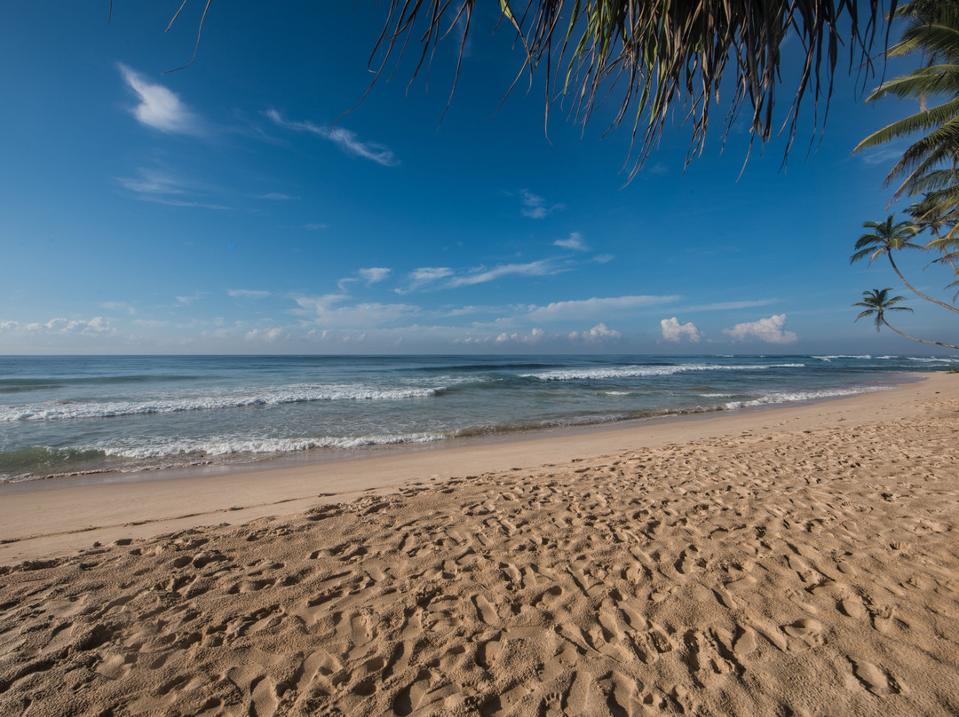 Habaraduwa House主图