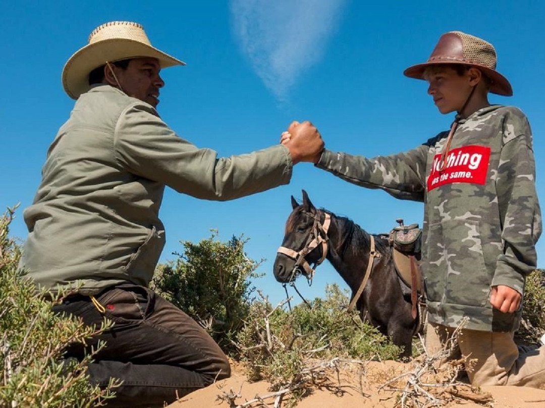 Agadir Horse & Camel景点图片