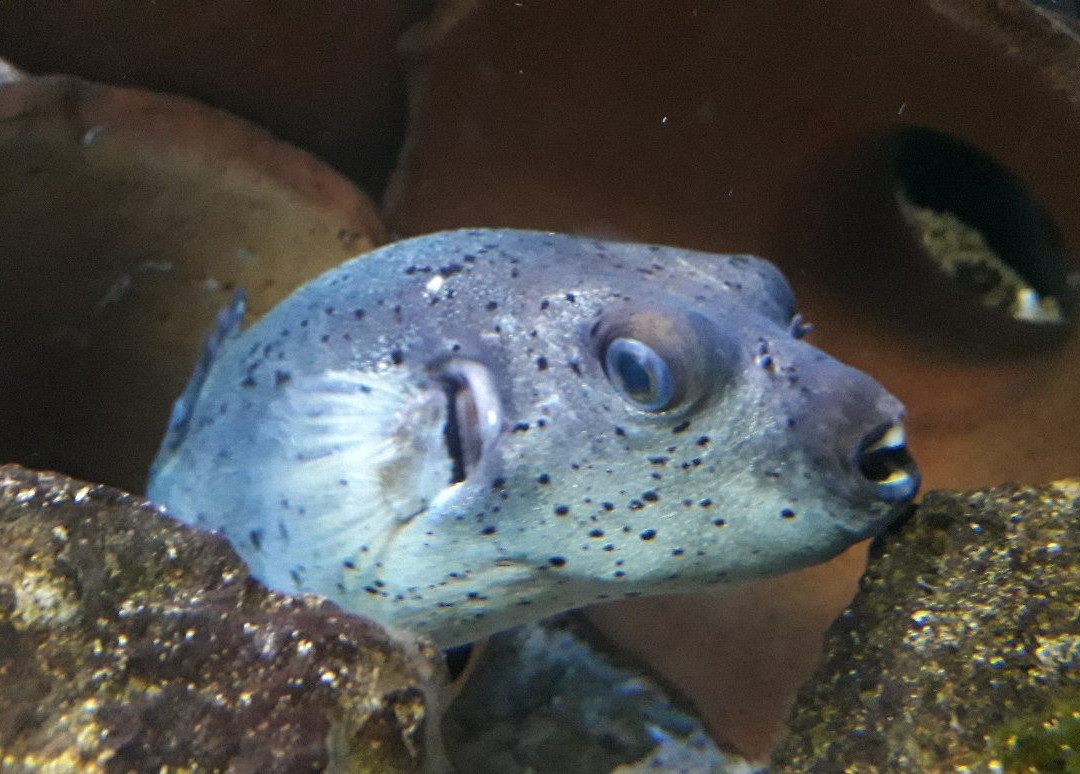 Zoo Acquario di Imola-伊莫拉必去景点