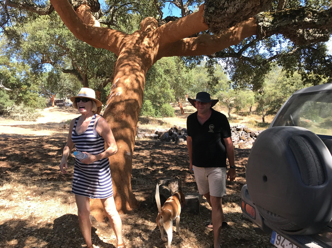 Tinto Travels-埃武拉必去景点