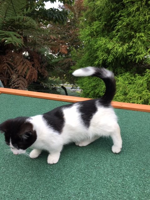 Waitomo Big Bird Bed & Breakfast主图