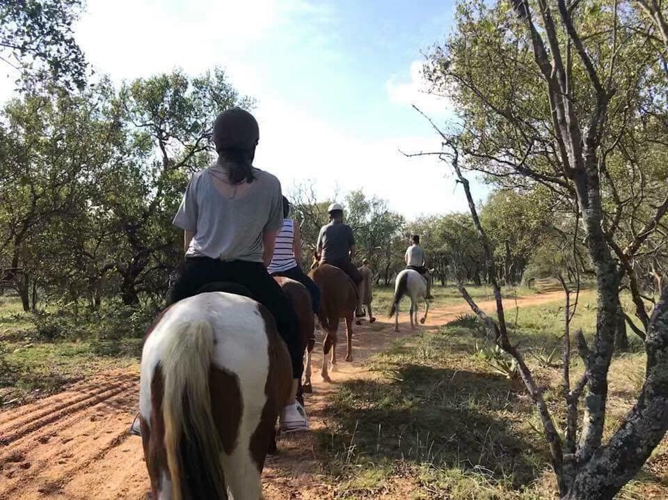 Unathi Horseback Trails-Brits必去景点