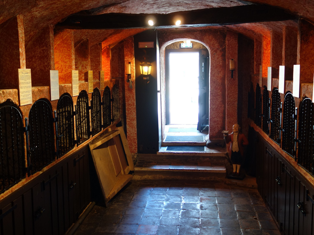 Kasteel Nemerlaer景点图片