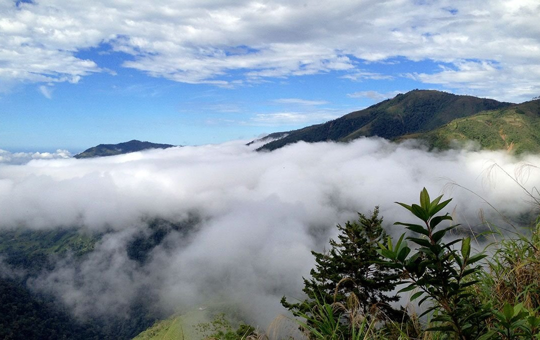 El Silencio de Los Angeles Cloud Forest Reserve景点图片