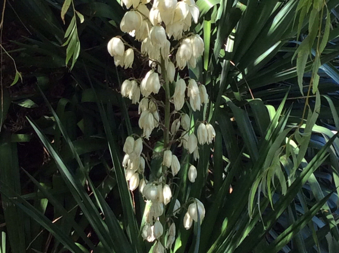 Middelfontein Farm主图