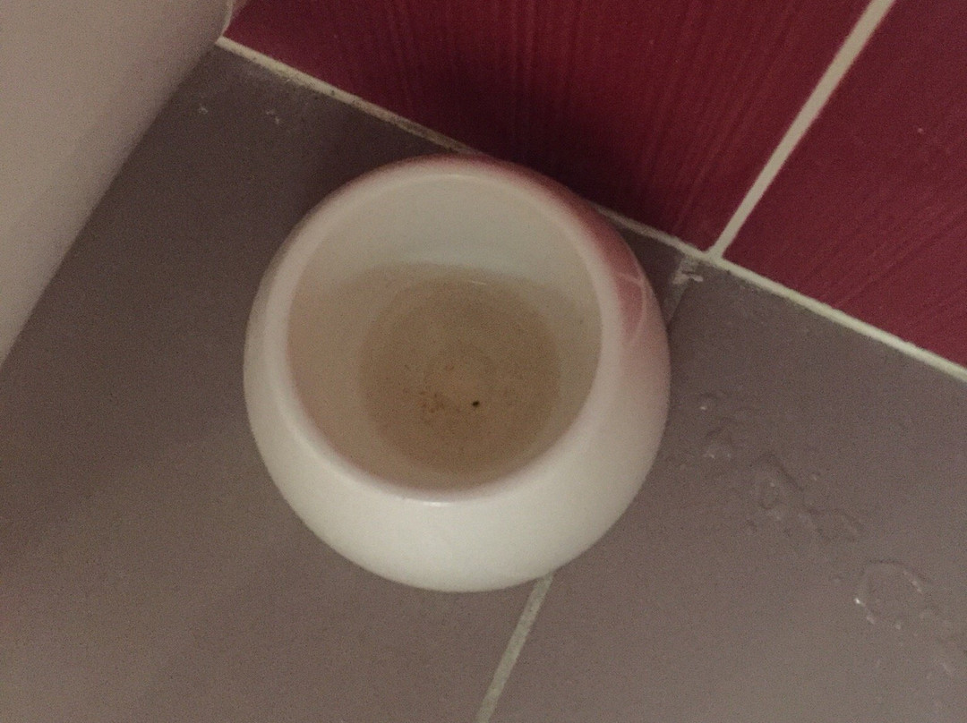 The Originals City Hotel Novella Premium, Carquefou主图