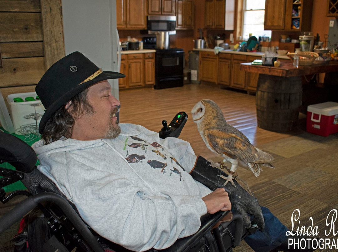 Hawk Manor Falconry-Lillington必去景点