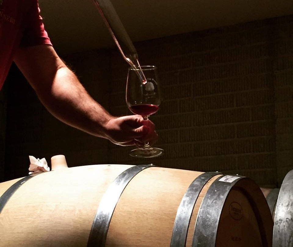 Wisdom Oak Winery景点图片