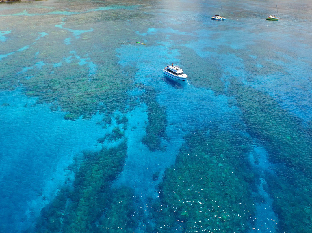 Maui Boat Trips-玛阿拉也亚必去景点