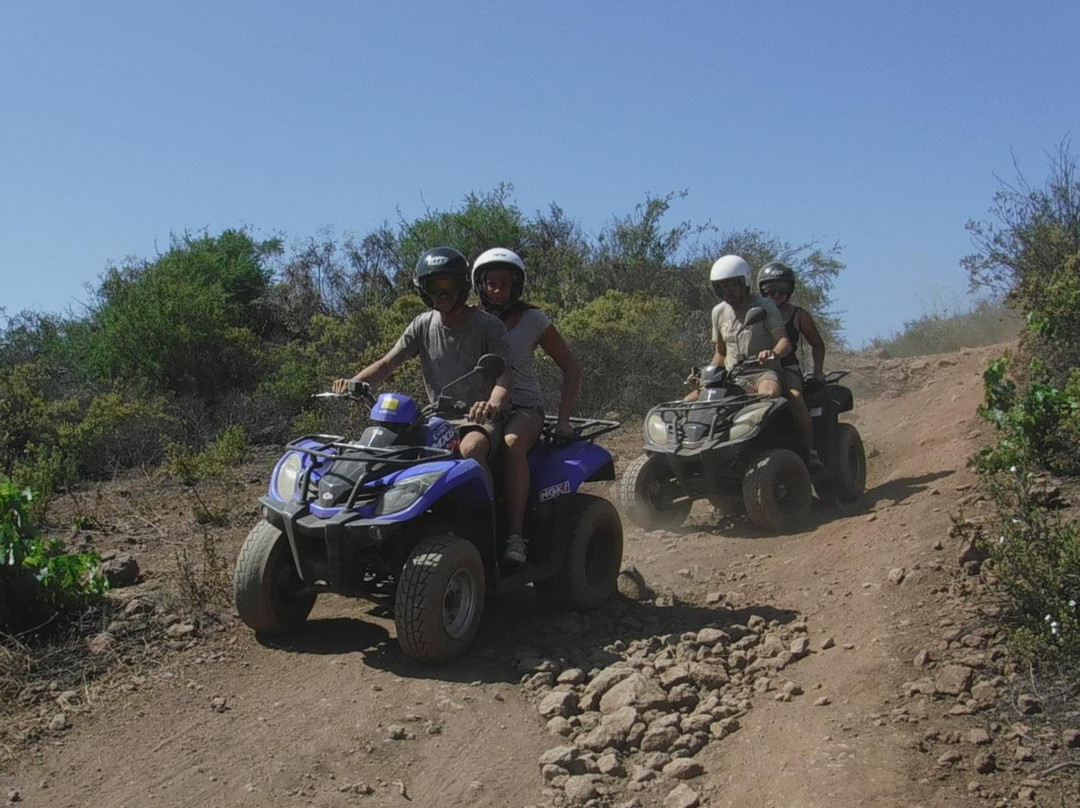 quad safari tenerife-圣米格尔德亚沃纳必去景点