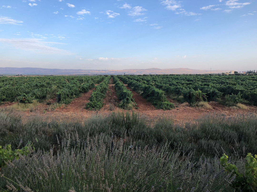 Château Roslane Boutique Hôtel & Spa主图