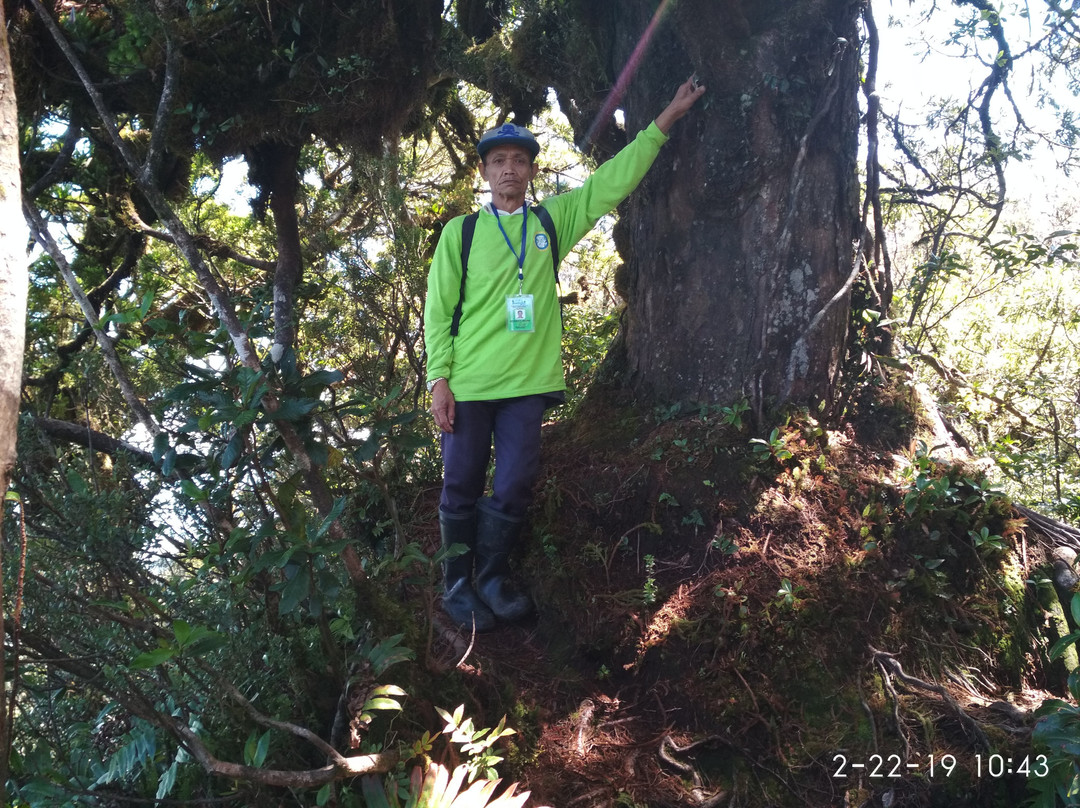 Mount Talinis-杜马盖地必去景点