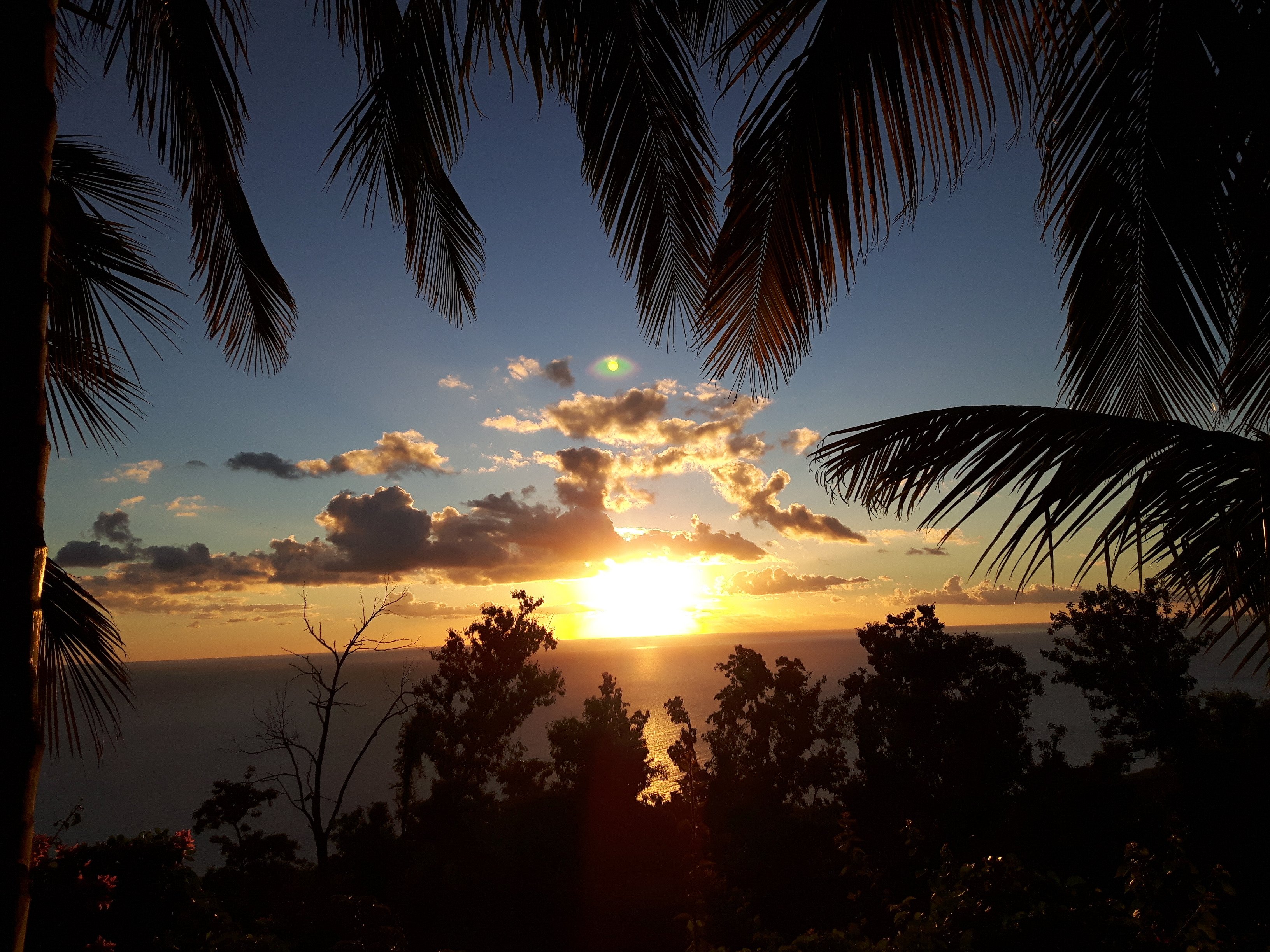 Villa Rose Caraibes-泳池