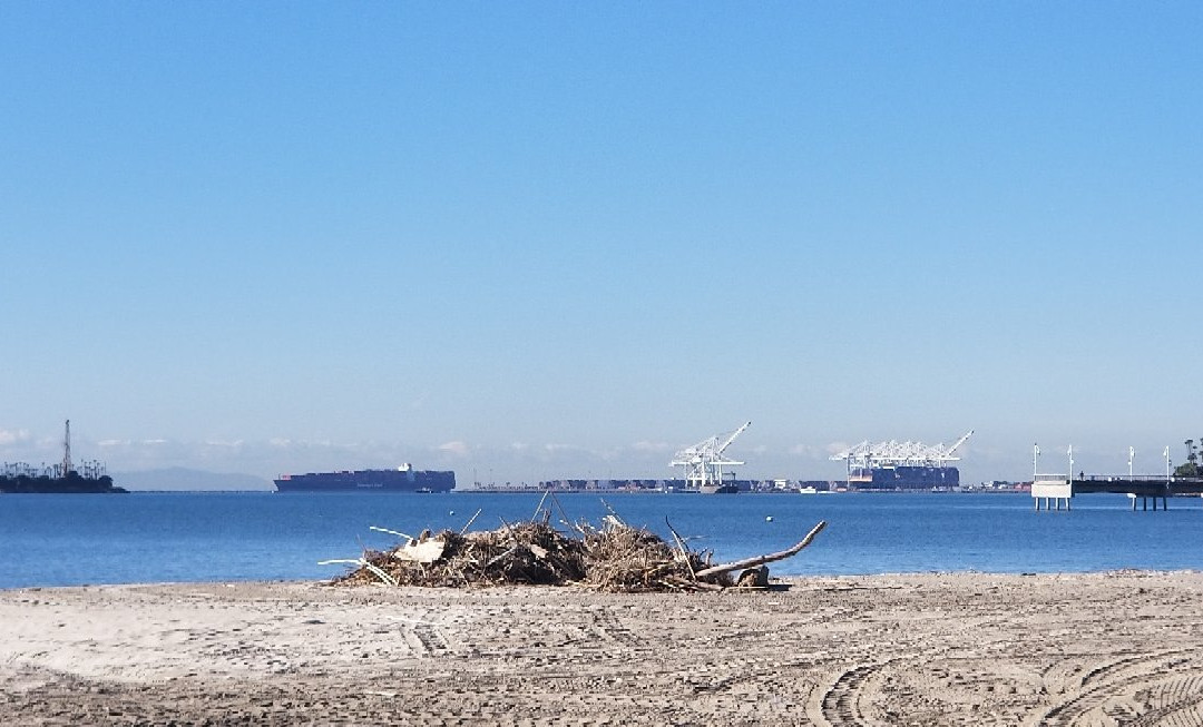 Belmont Shore-长滩必去景点