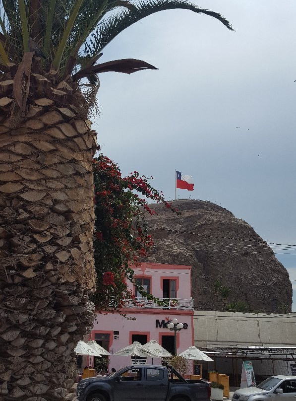 Cuidad de Arica-阿里卡必去景点