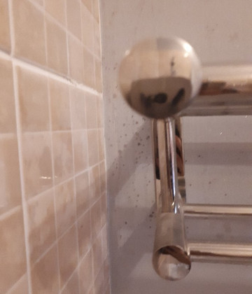 Springfield Guest House主图