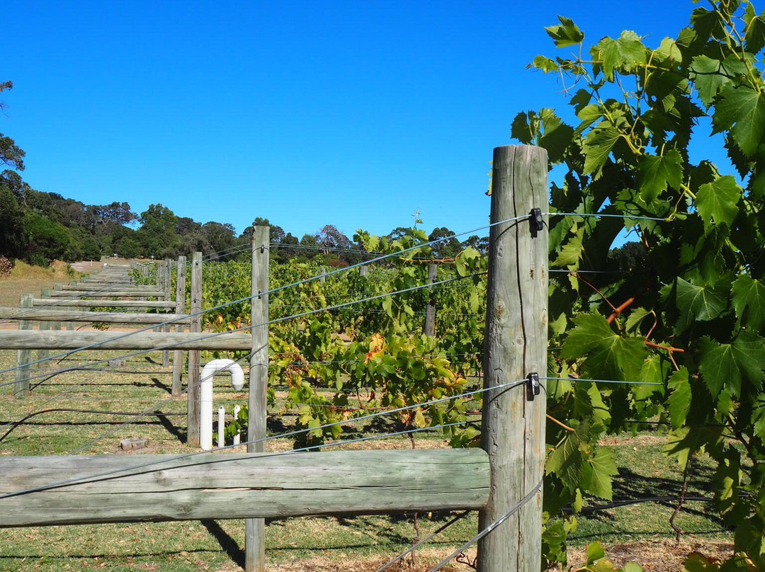 西耶娜酒厂旅舍主图
