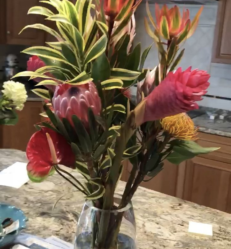 No Ka Oi Protea Farm-库拉必去景点