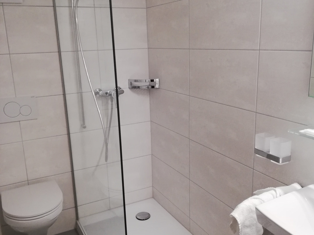 Hotel Les Vieux Toits主图