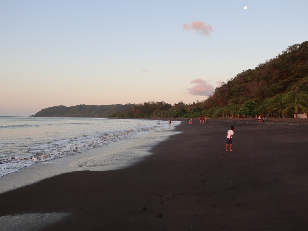 Hotel Playa Cambutal主图