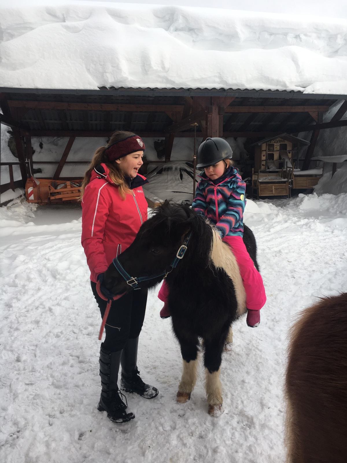 Die Seitenalm-浴室