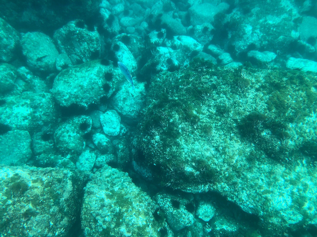 Marenostrum Expediciones-Isla Robinson Crusoe必去景点