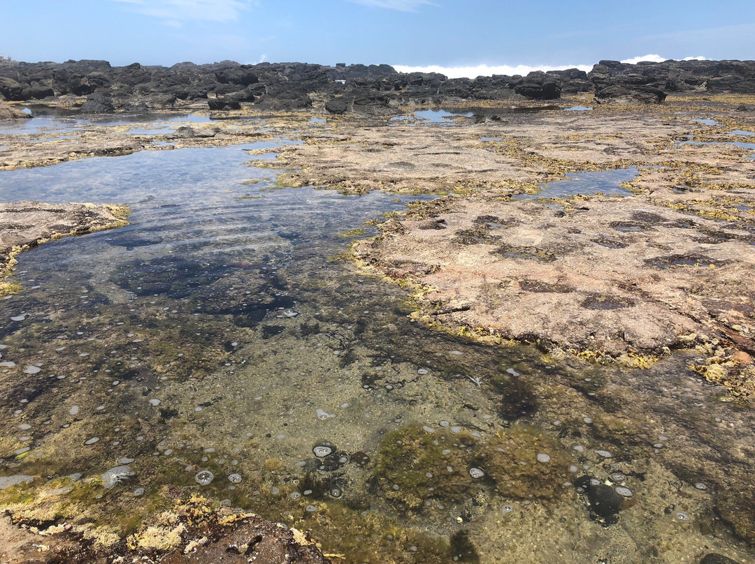 Cairn Beach景点图片