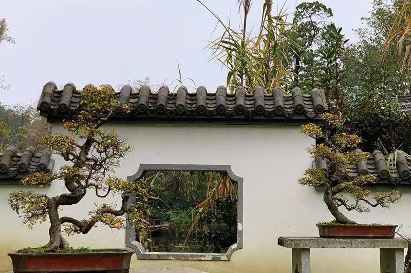 AbsoluteChengdu-成都必去景点