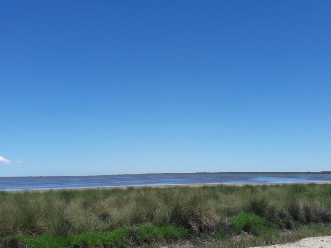 Lagoa do Peixe National Park景点图片