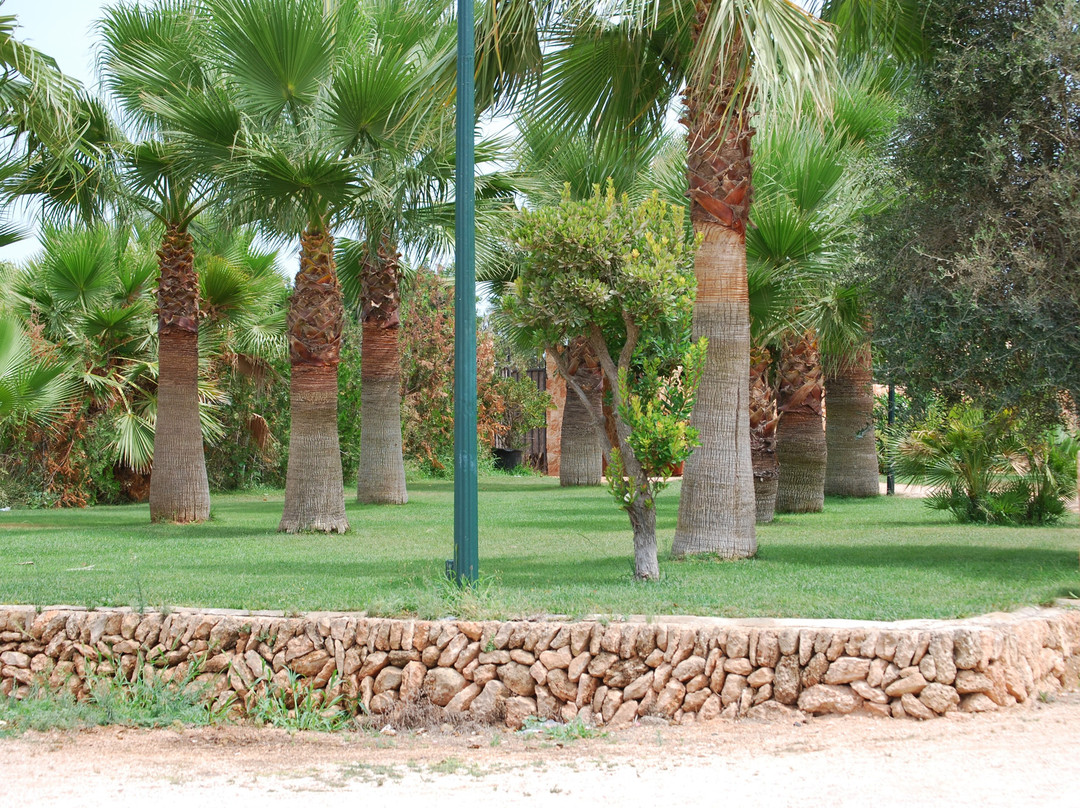 Finca Son Amora主图