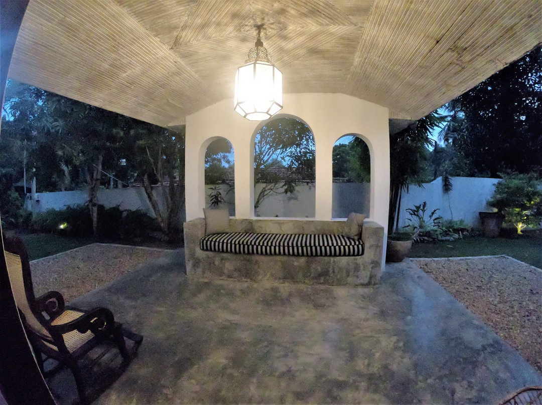 The Jungle Loft主图