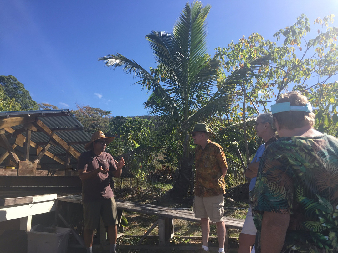 Pele Plantations-卡慕也拉必去景点