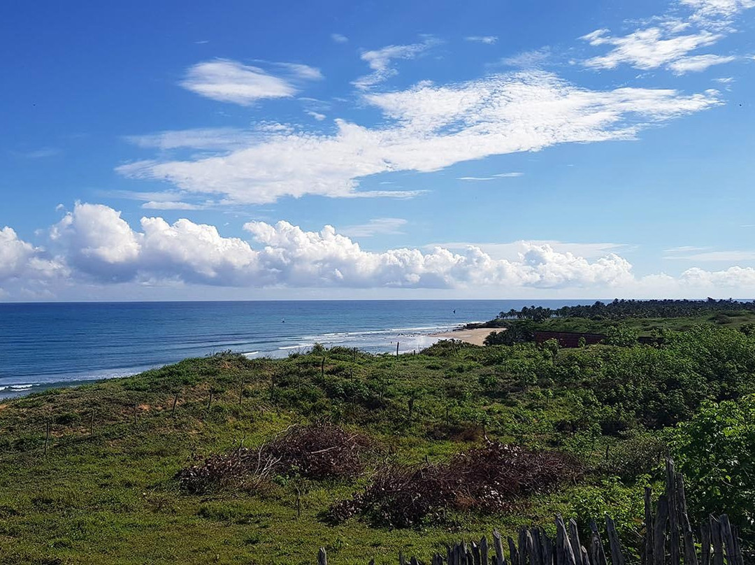 Dolce Vita Guest House主图