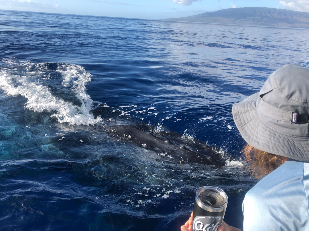 Blue Maui Ocean Adventures-卡纳帕利必去景点