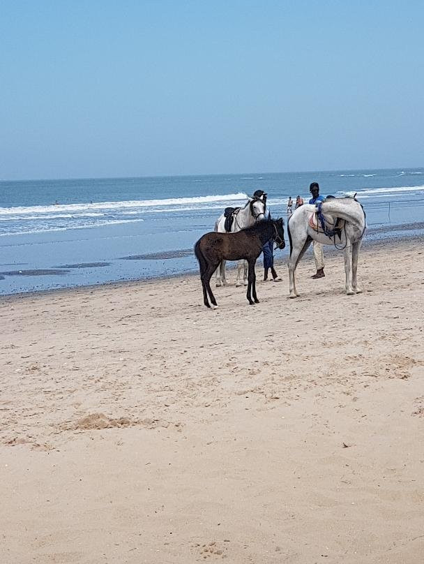 Gambia Santosu Drives Experiences景点图片