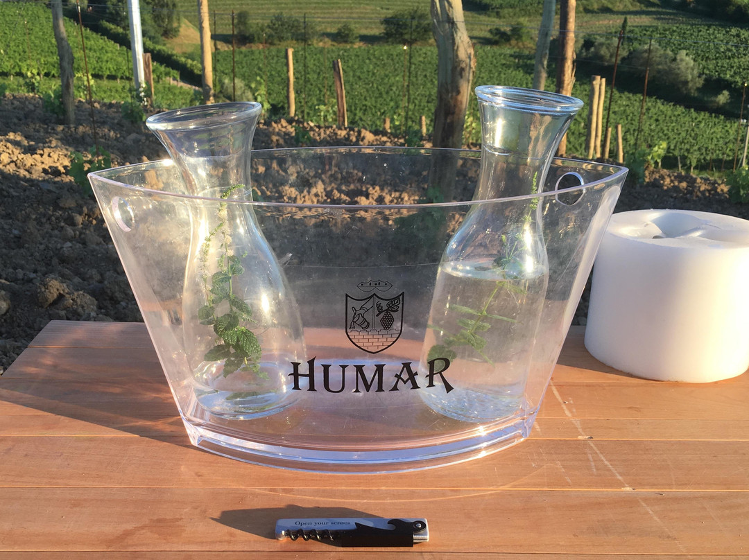 Vino e Sapori FVG-乌迪内必去景点