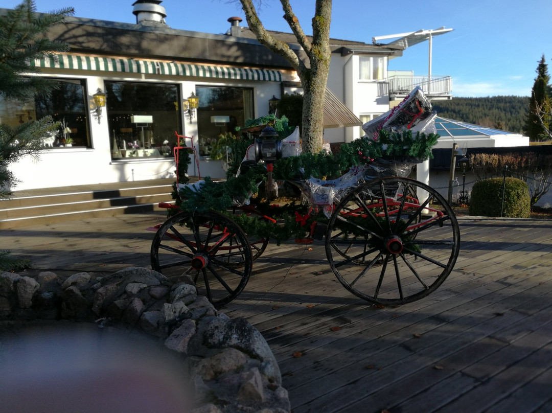 施卢赫湖弗洛拉公园酒店主图