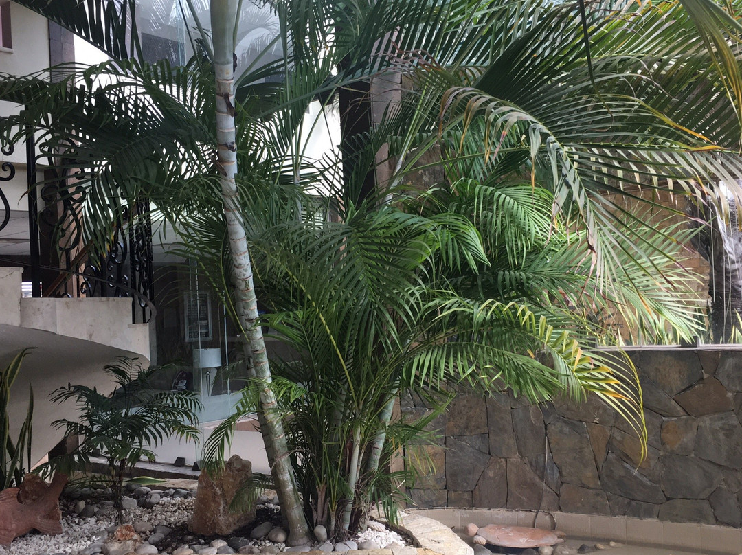 Hotel Dubrovnik主图