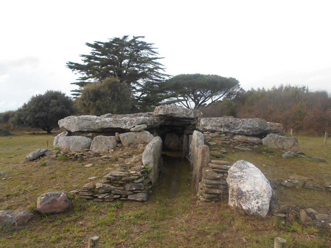 Dolmen de la Joseliere景点图片