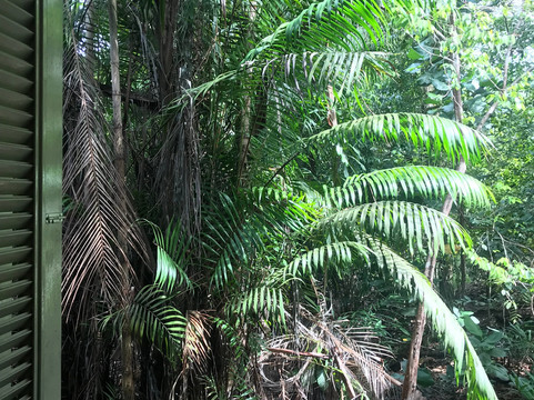 京那巴登岸湿地度假村主图