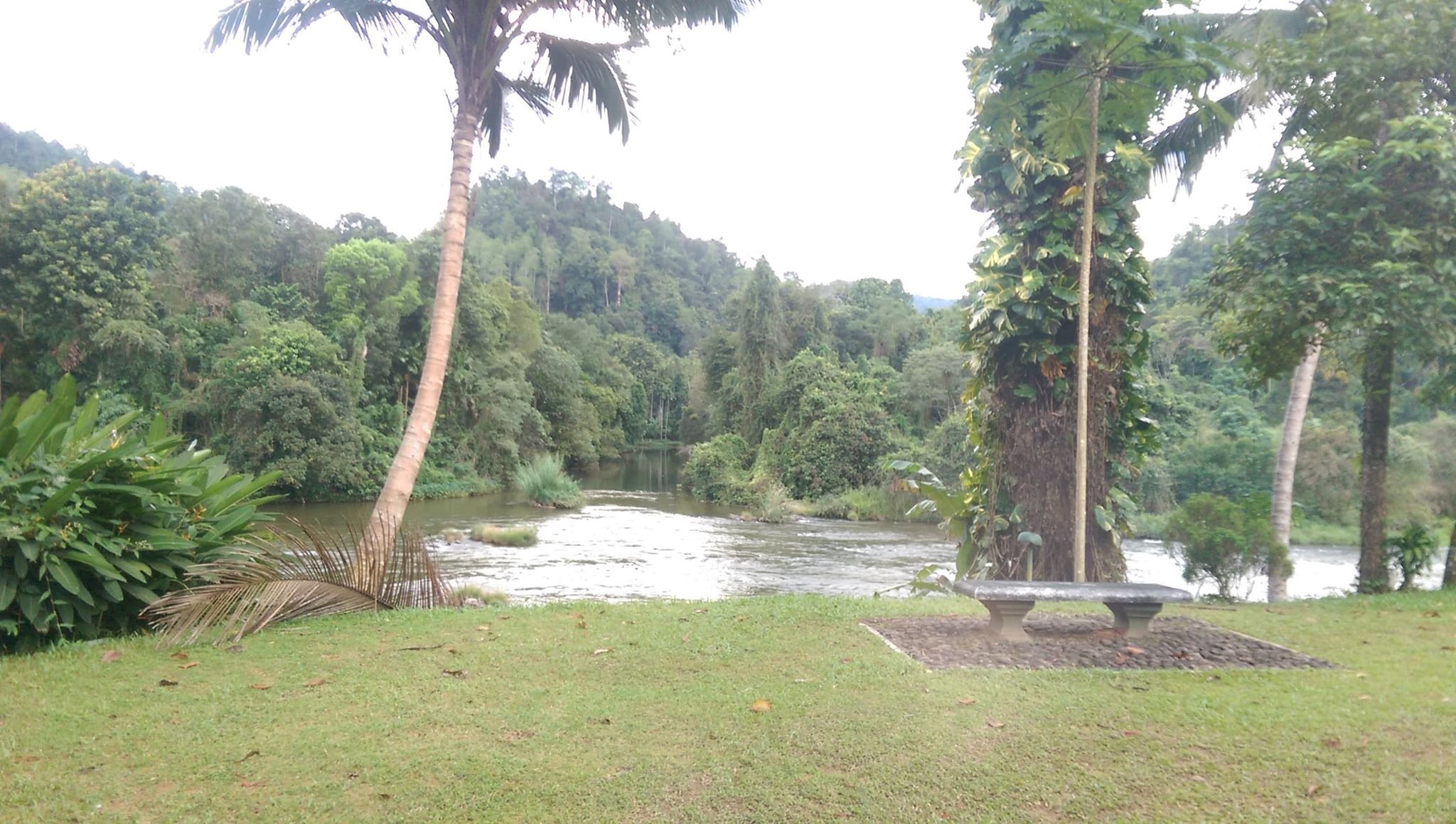 Kithulgala Rest House-酒店景观