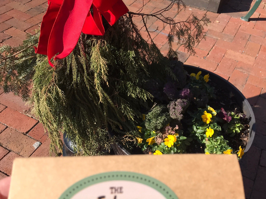 The Dahlonega Fudge Factory-达洛尼加必去景点